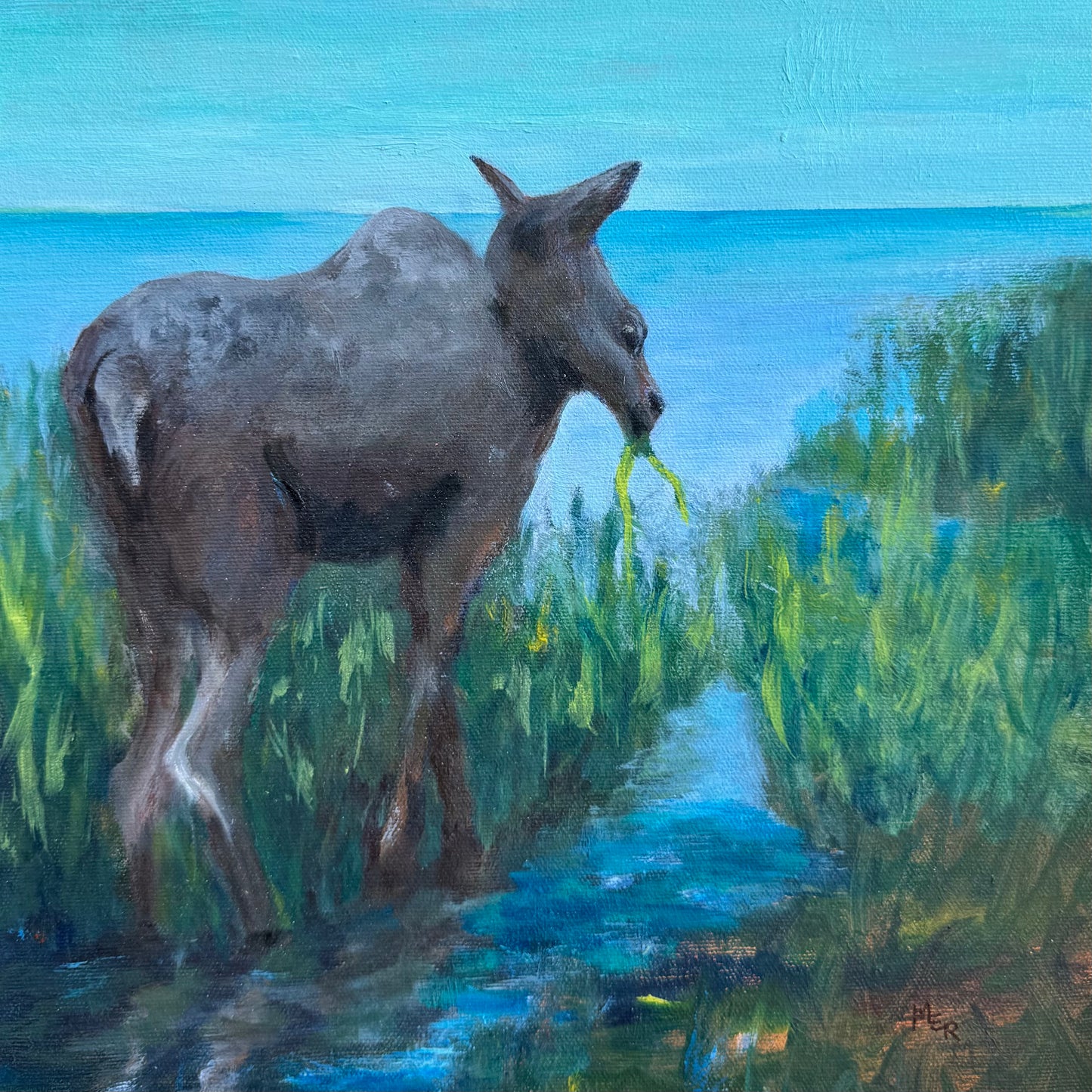 Moose Munch