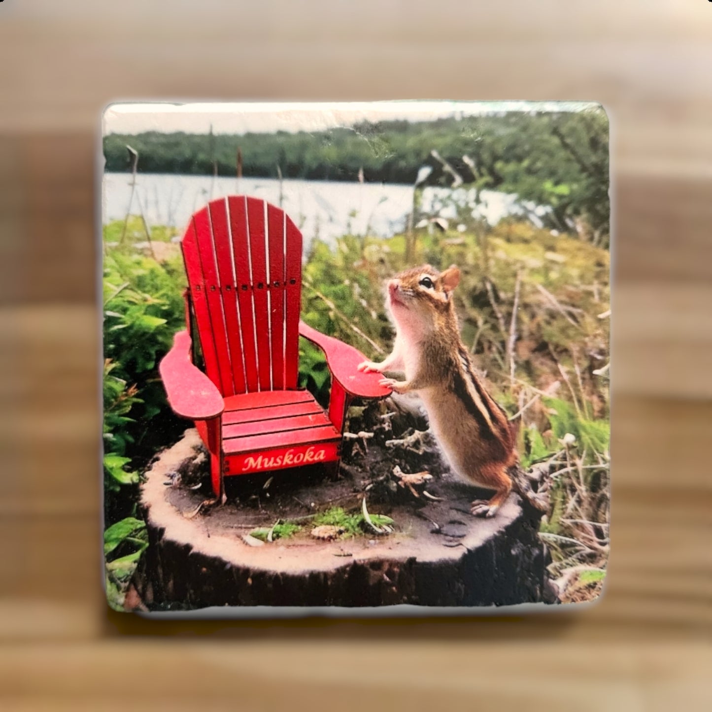 Muskoka Themed Custom Coasters
