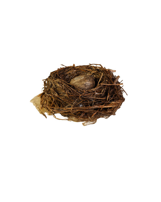 Nest with Stone