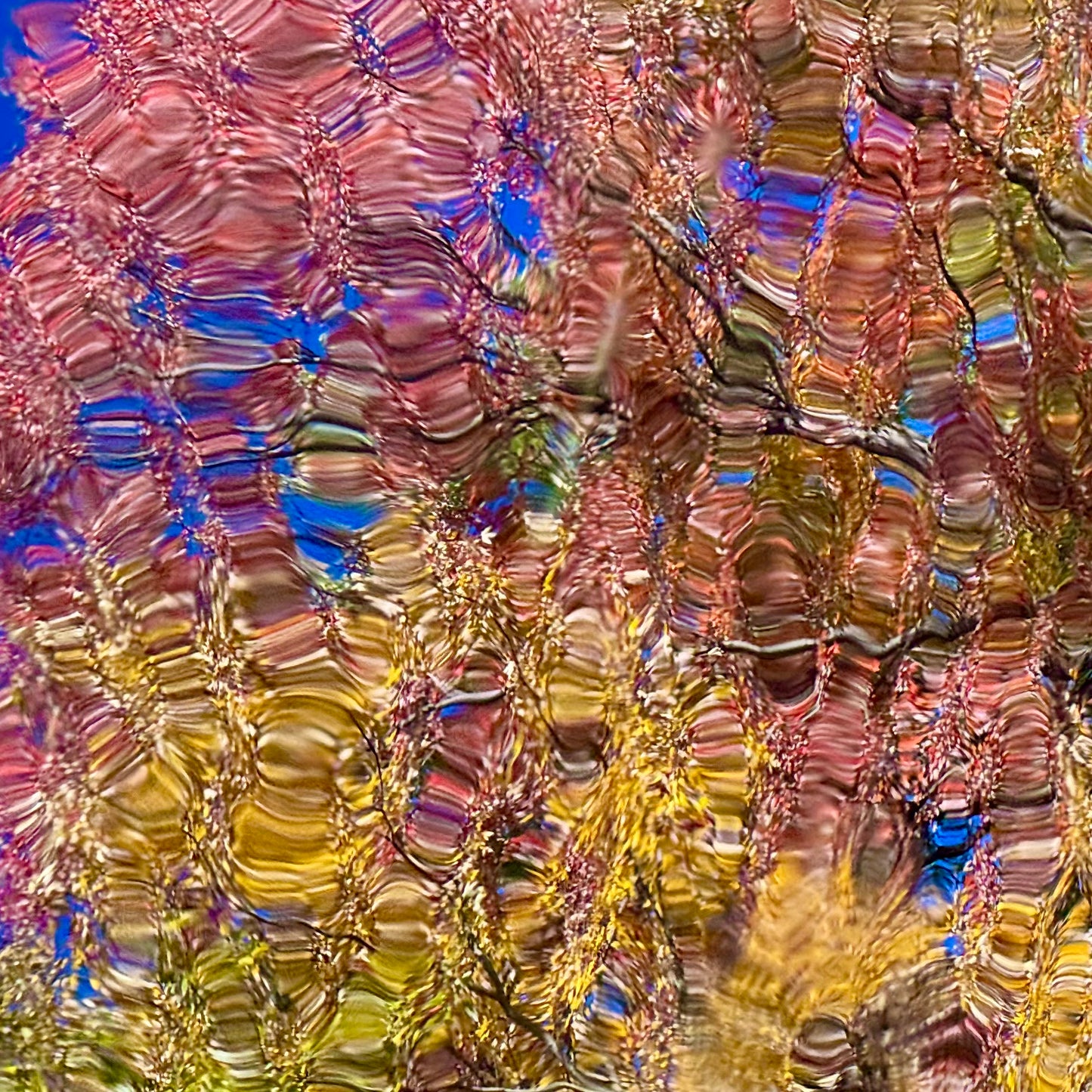 Origins of abstraction #1