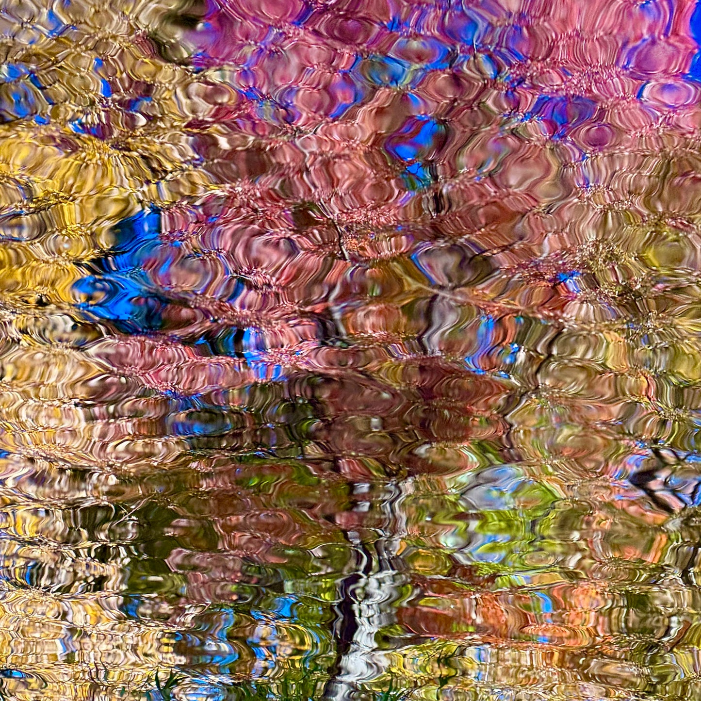 Origins of abstraction #3