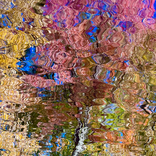 Origins of abstraction #3