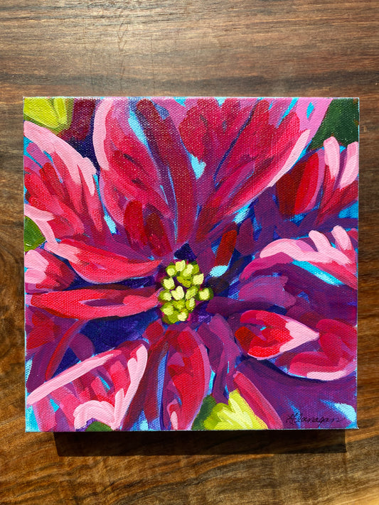 Poinsettia