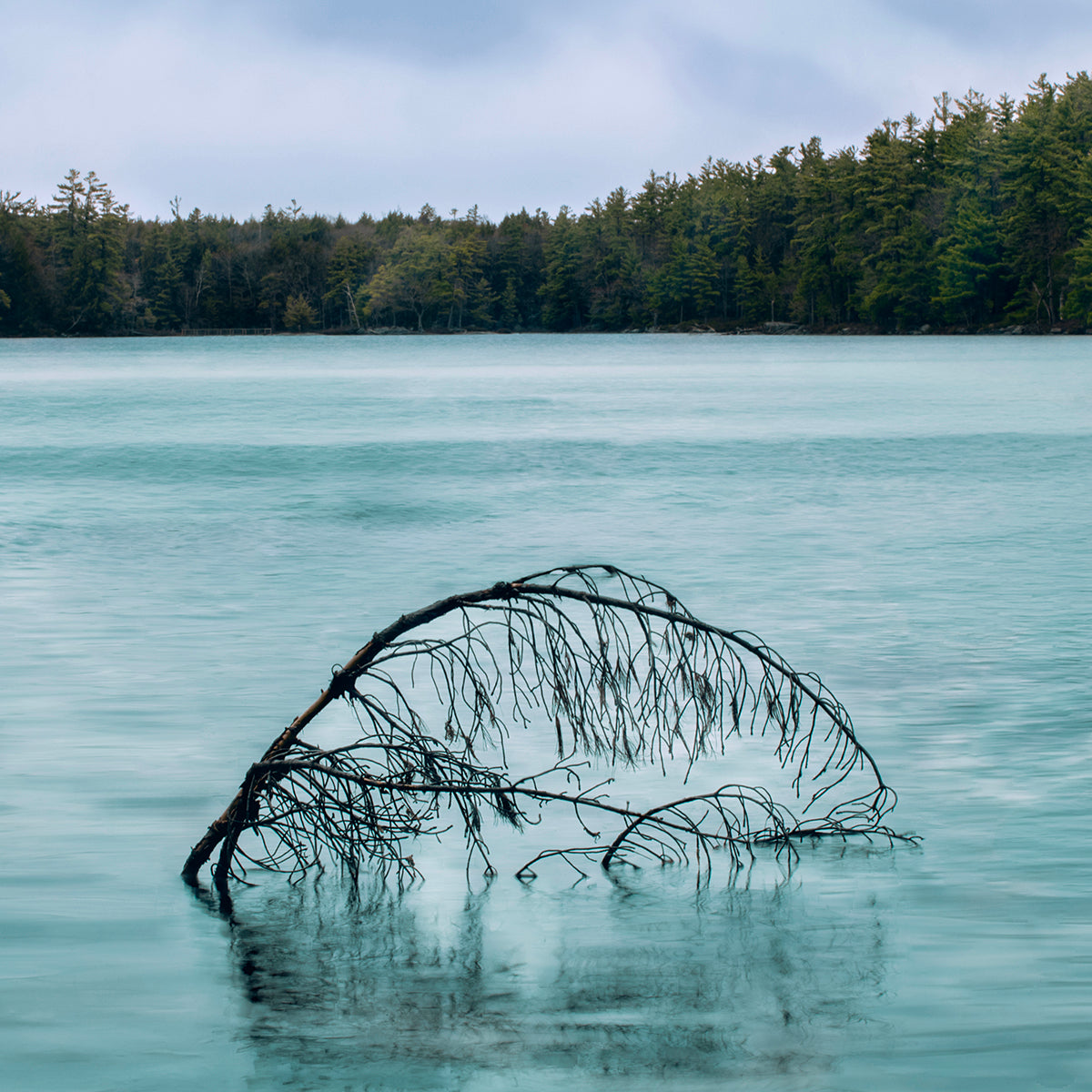 Remnants of Winter