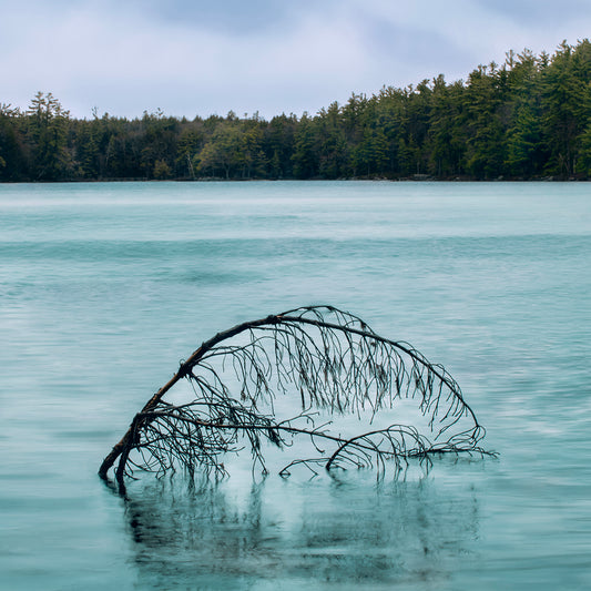 Remnants of Winter