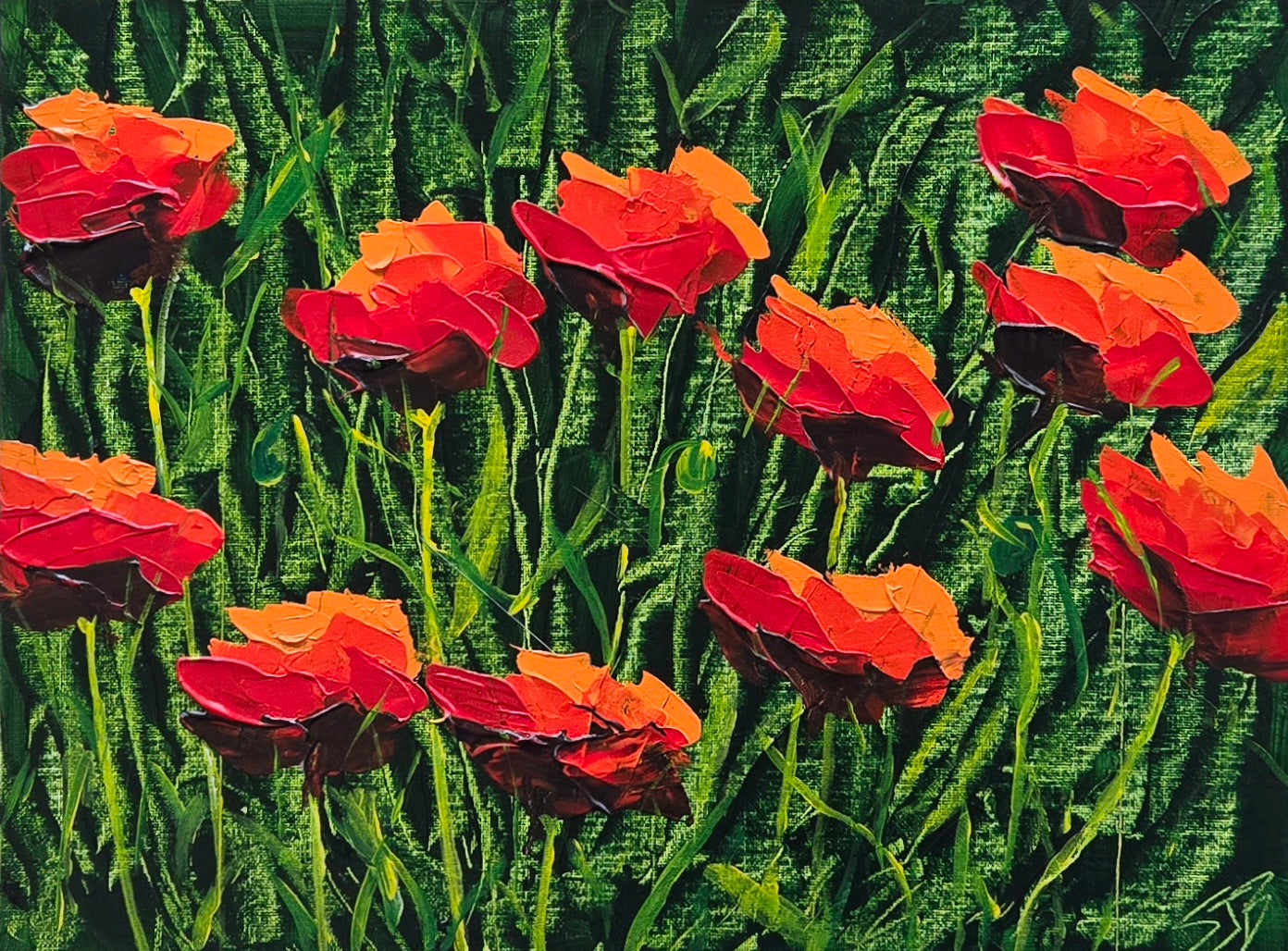 Poppy