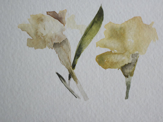 Soft Yellow Rags