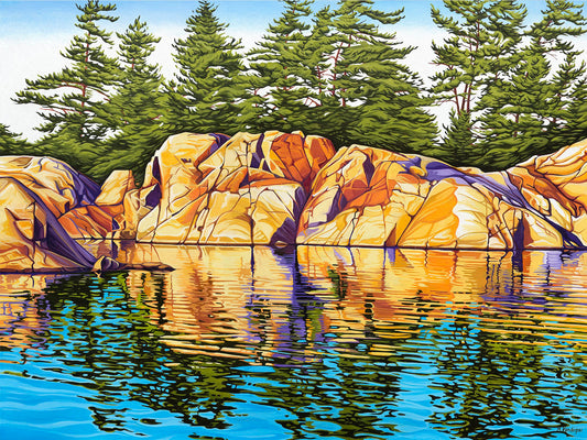 Summer Reflections