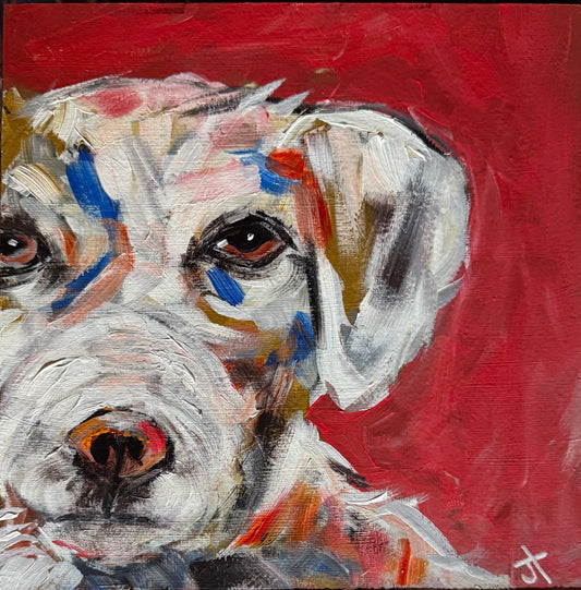 Terrier