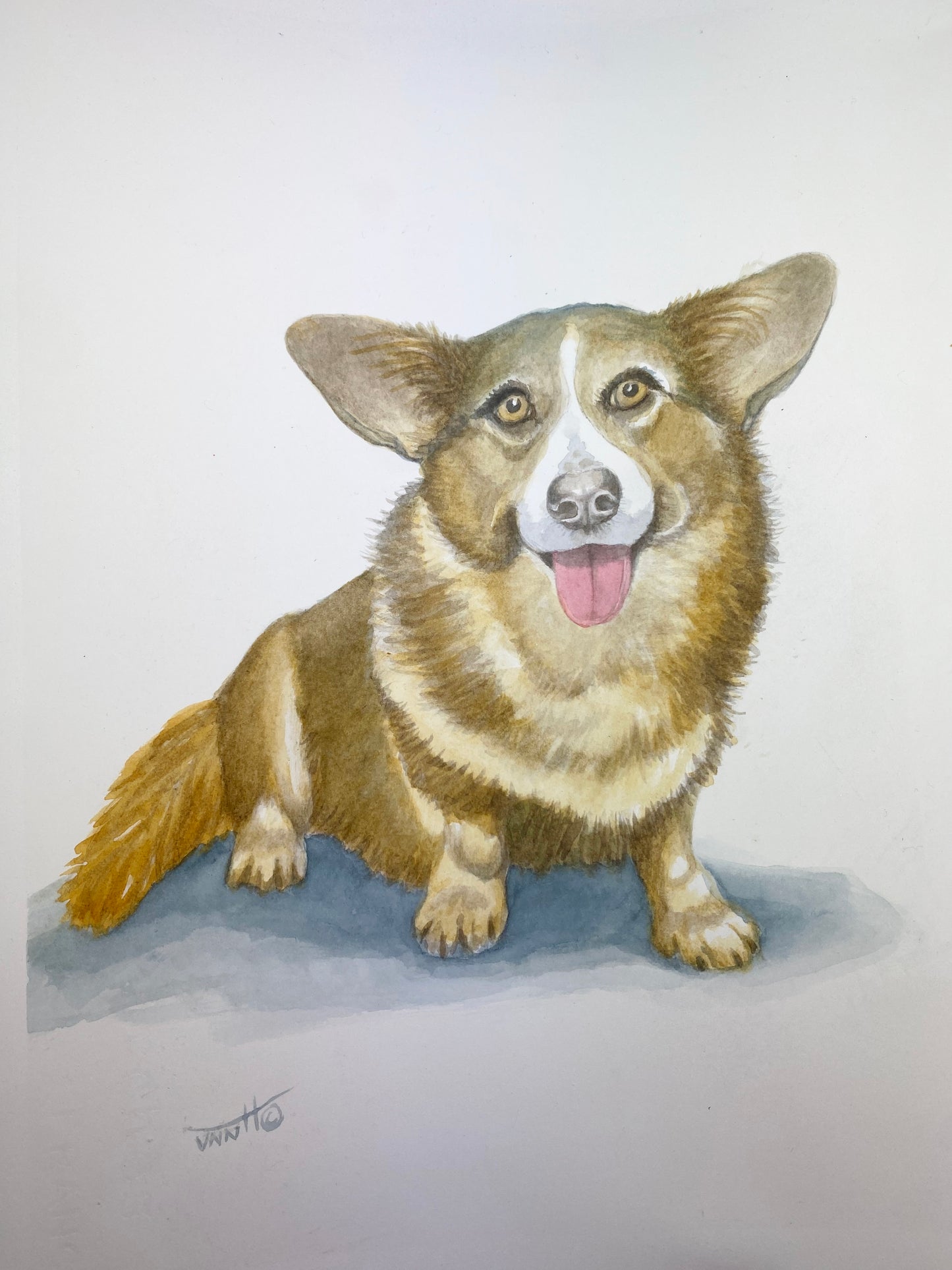 The Corgi
