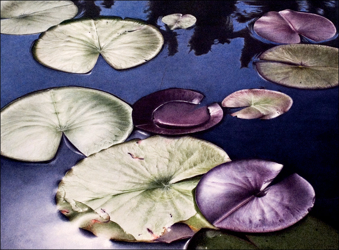 The Purple Lily