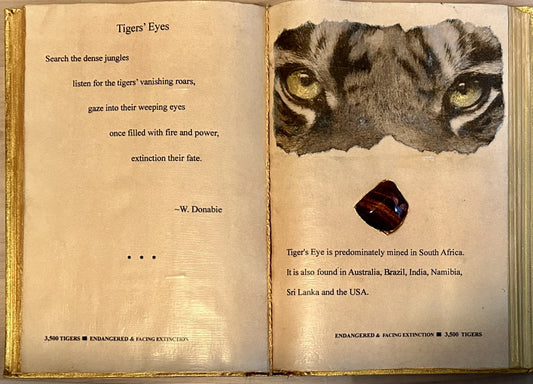 Tigers Eyes
