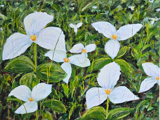 Trilliums