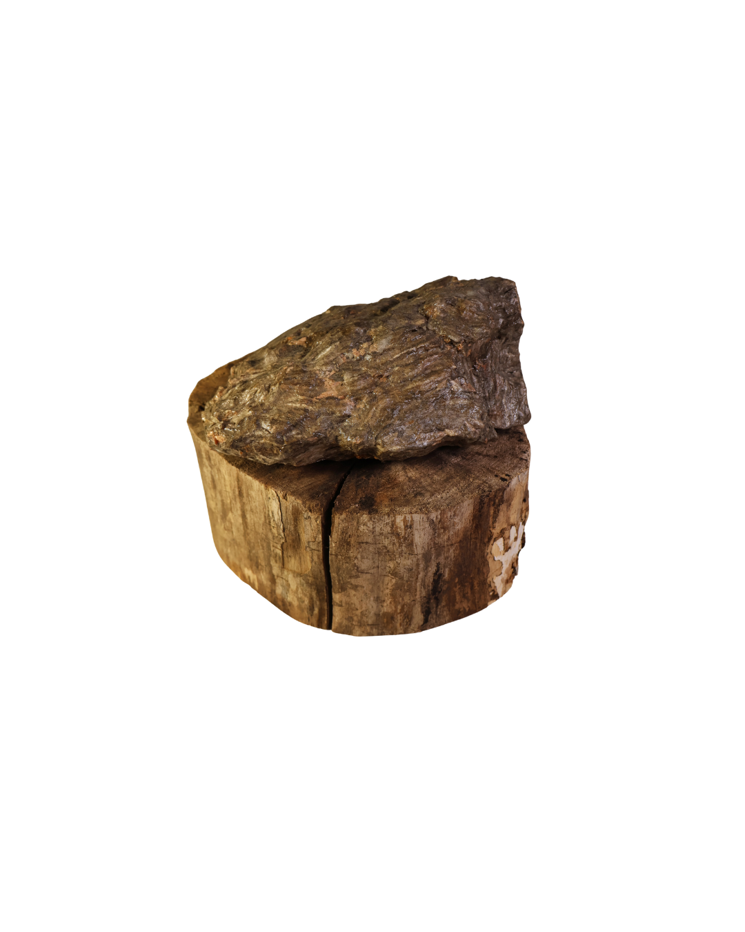 Wasp Nest Covered Rock