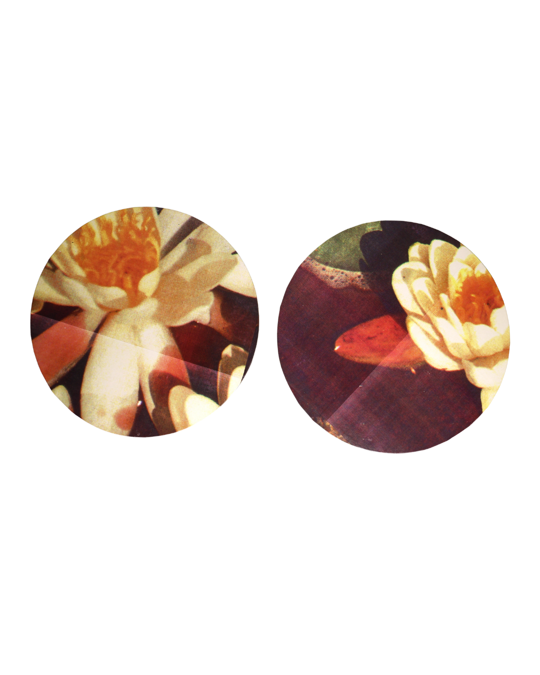 Waterlillies