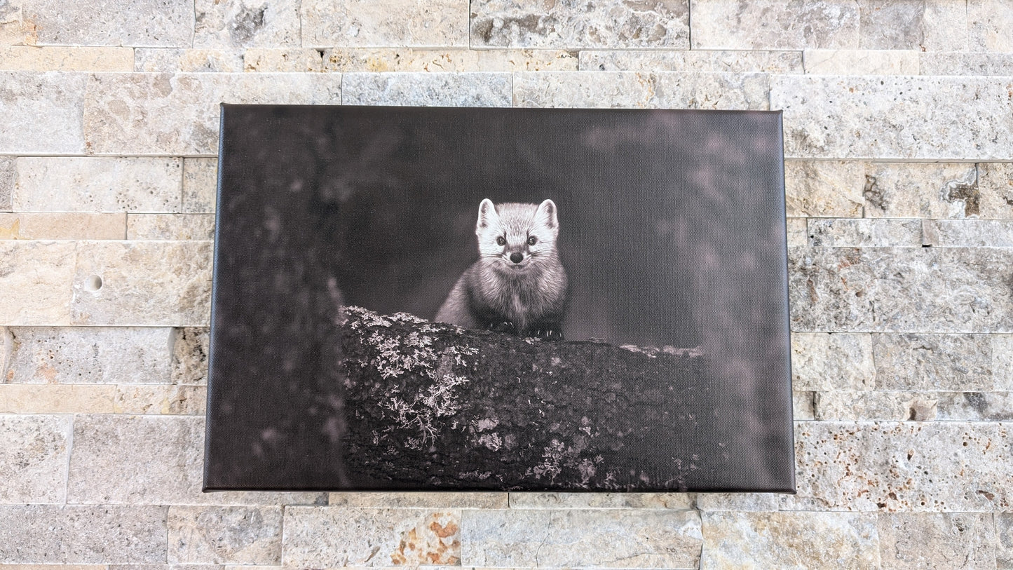 Woodland Mischief
