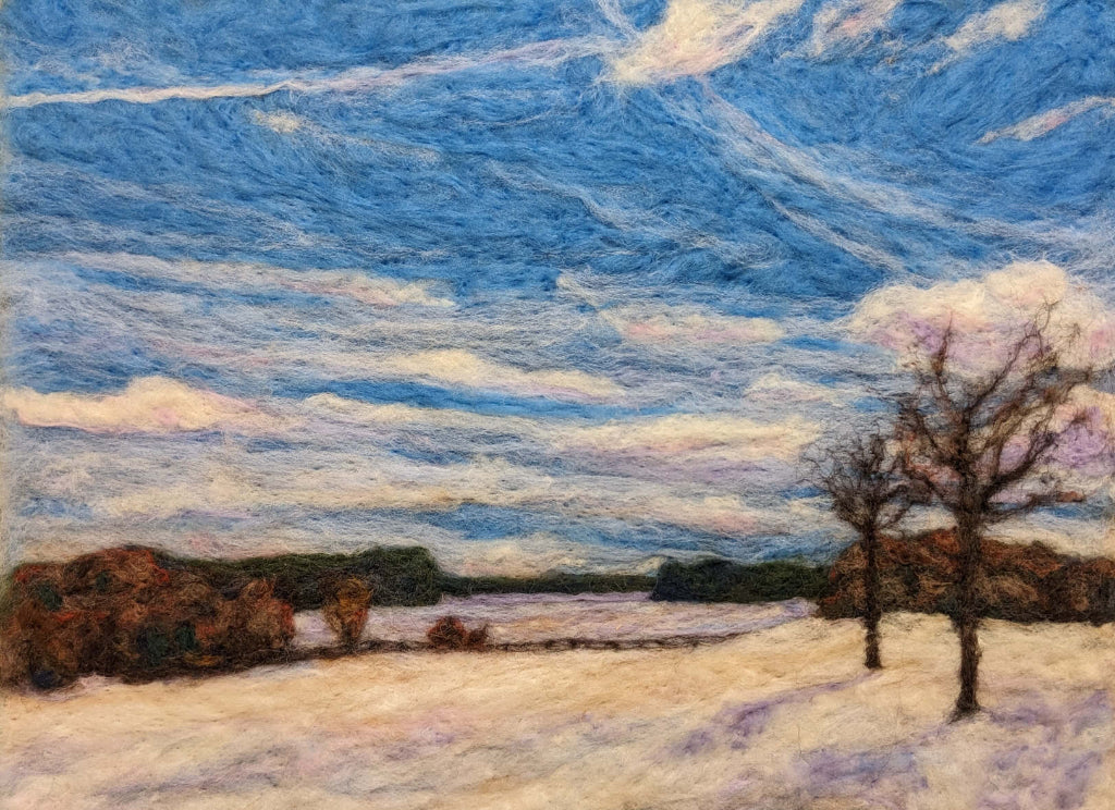 Snowy Field Off Hwy 2