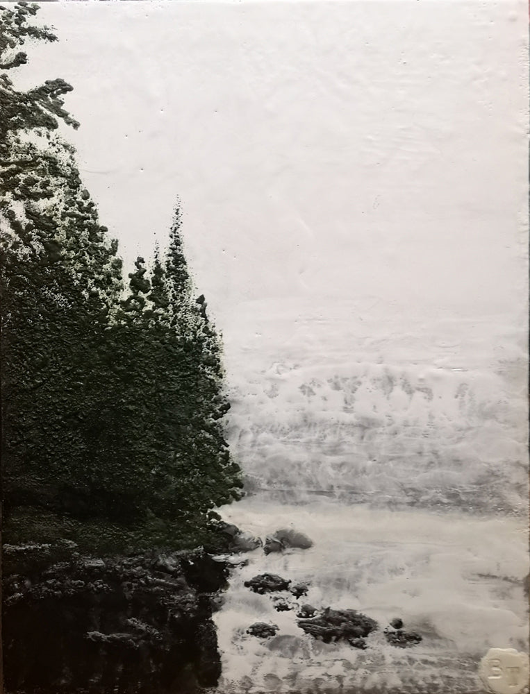Morning Mist