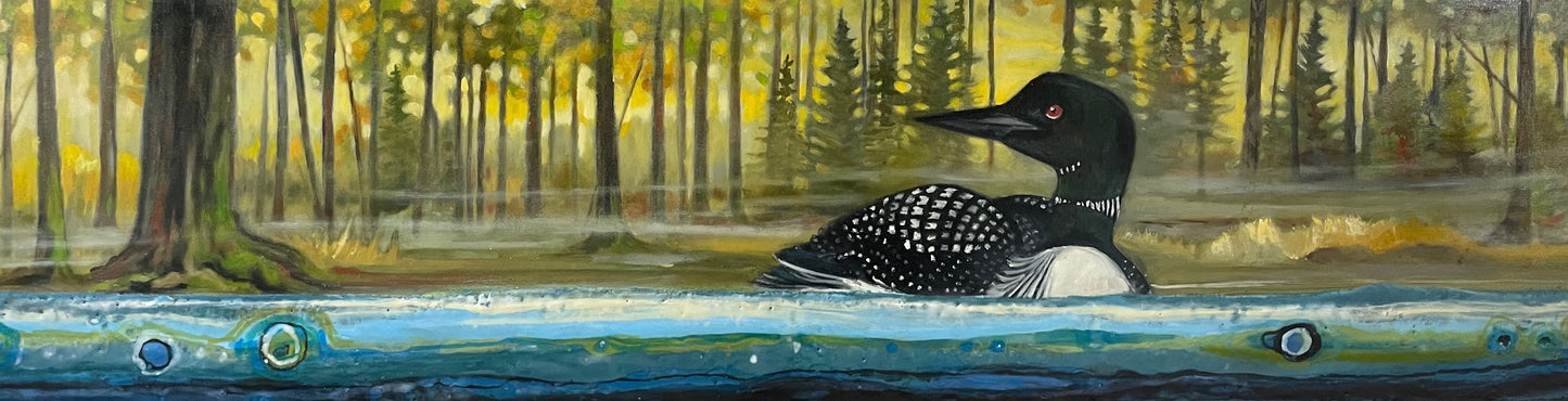 Muskoka Loon at Dawn
