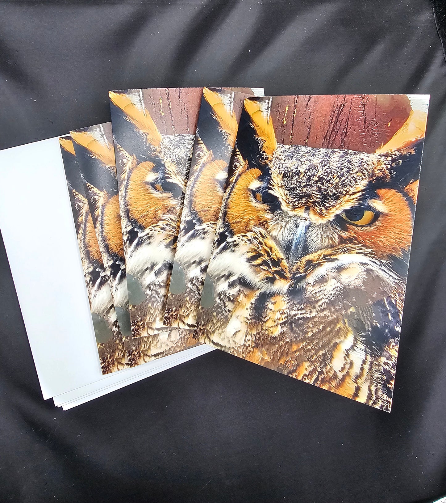 Great Horned Owl Note Cards