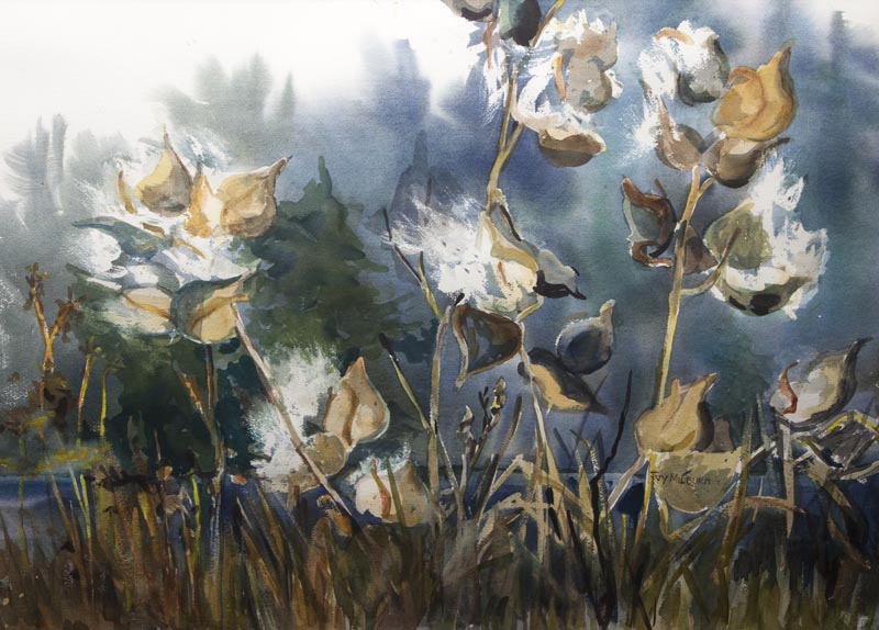 Watercolour painting of milkweed, Joy Milburn