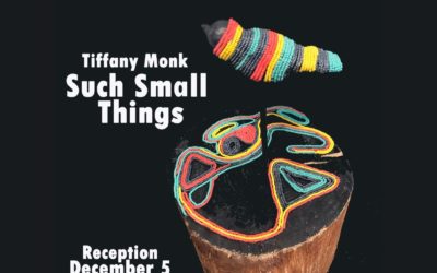 Such Small Things by Tiffany Monk